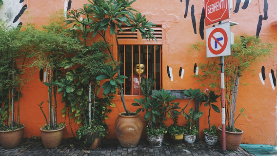 Das Bild zeigt eine farbenfrohe Szene in Melaka, Malaysia. Eine orangefarbene Wand mit künstlerischen schwarzen und weißen Akzenten bildet den Hintergrund. Im Vordergrund stehen mehrere grüne Pflanzen in Töpfen vor der Wand. Ein Fenster mit orangefarbenen Gittern befindet sich in der Mitte des Bildes, dahinter ist eine Figur mit einer goldenen Maske und einem roten Hemd zu sehen. Rechts neben dem Fenster sind zwei Straßenschilder zu erkennen: eines mit dem Wort „Berhenti“ (Malaiisch für „Stopp“), das andere zeigt ein Einfahrverbotsschild. Die gesamte Szene strahlt eine lebendige, urbane Atmosphäre aus.